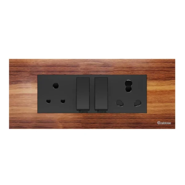 6 M Combined Plate Magnus Acrylic Walnut Wood